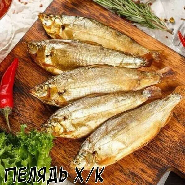 Пелядь х/к